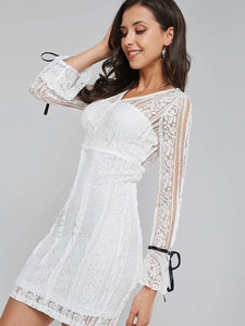 Women's Dress Lace Decoration Long Sleeve Elegant Classy Dress